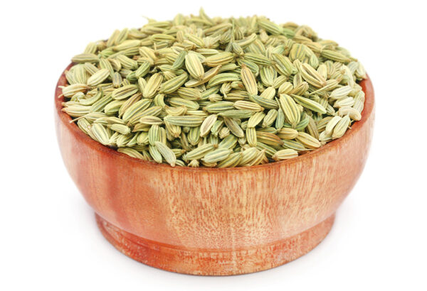 Fennel(Soambu)