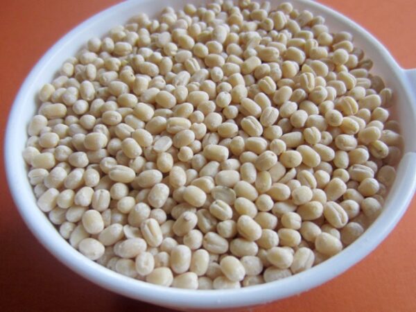 Urad Dal (Ulundhu)